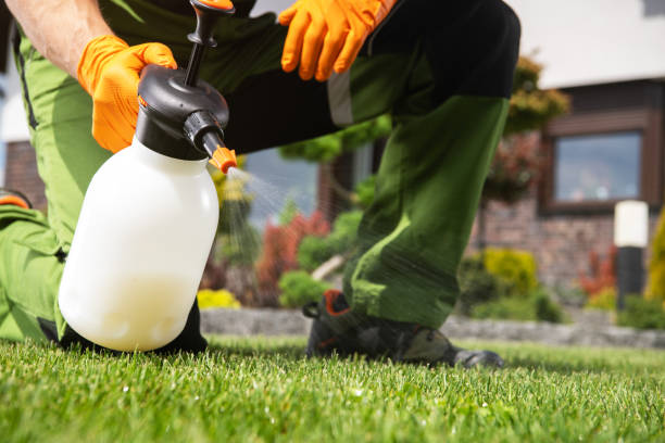 Best Lawn Pest Control  in USA